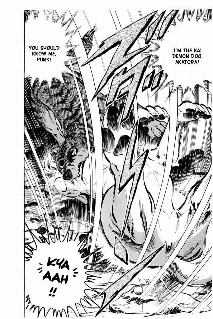 Page 26 Chapter 17 Silver Fang – The Shooting Star Gin –