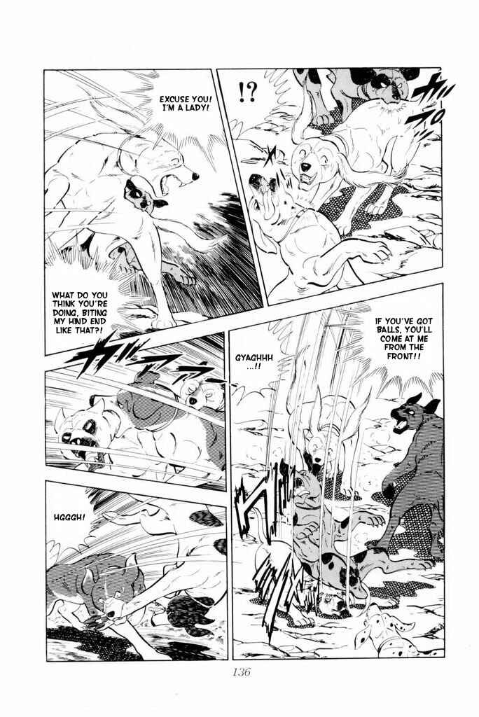 Page 28 Chapter 17 Silver Fang – The Shooting Star Gin –