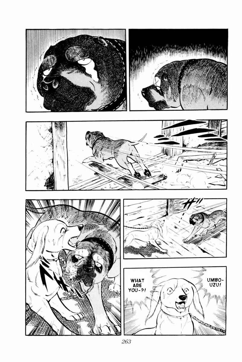 Page 19 Chapter 30 Silver Fang – The Shooting Star Gin –