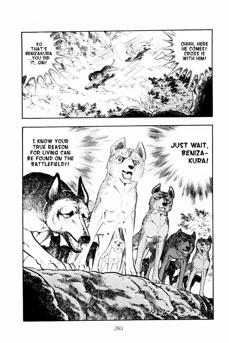 Page 21 Chapter 30 Silver Fang – The Shooting Star Gin –