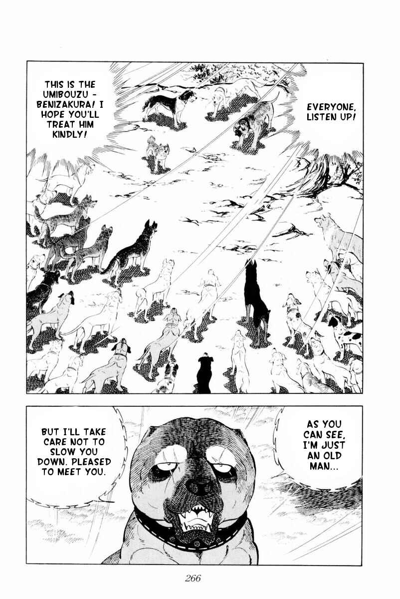 Page 22 Chapter 30 Silver Fang – The Shooting Star Gin –