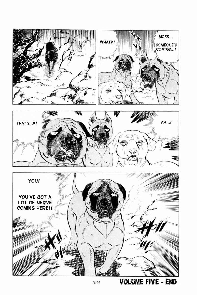 Page 78 Chapter 30 Silver Fang – The Shooting Star Gin –