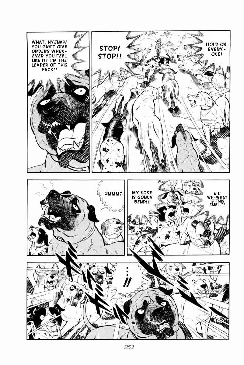 Page 9 Chapter 30 Silver Fang – The Shooting Star Gin –
