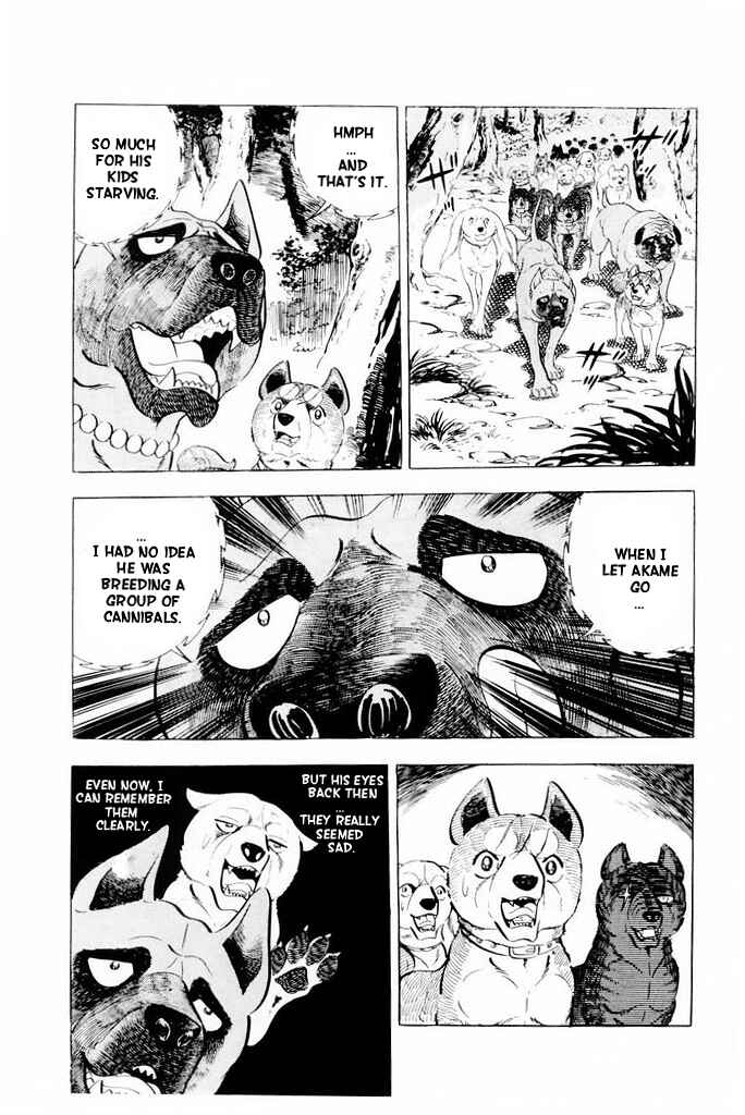 Page 21 Chapter 19 Silver Fang – The Shooting Star Gin –