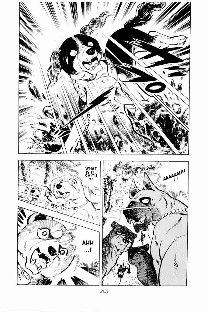 Page 41 Chapter 19 Silver Fang – The Shooting Star Gin –