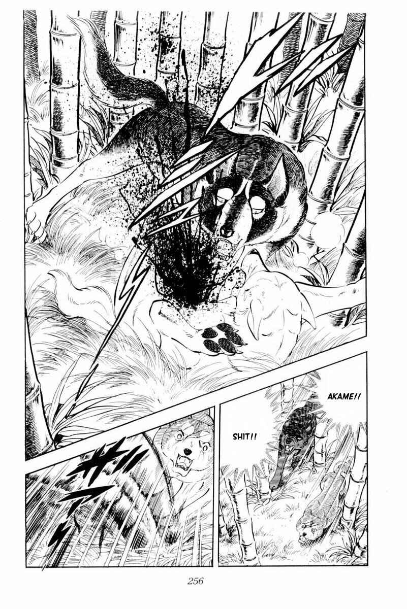 Page 10 Chapter 45 Silver Fang – The Shooting Star Gin –