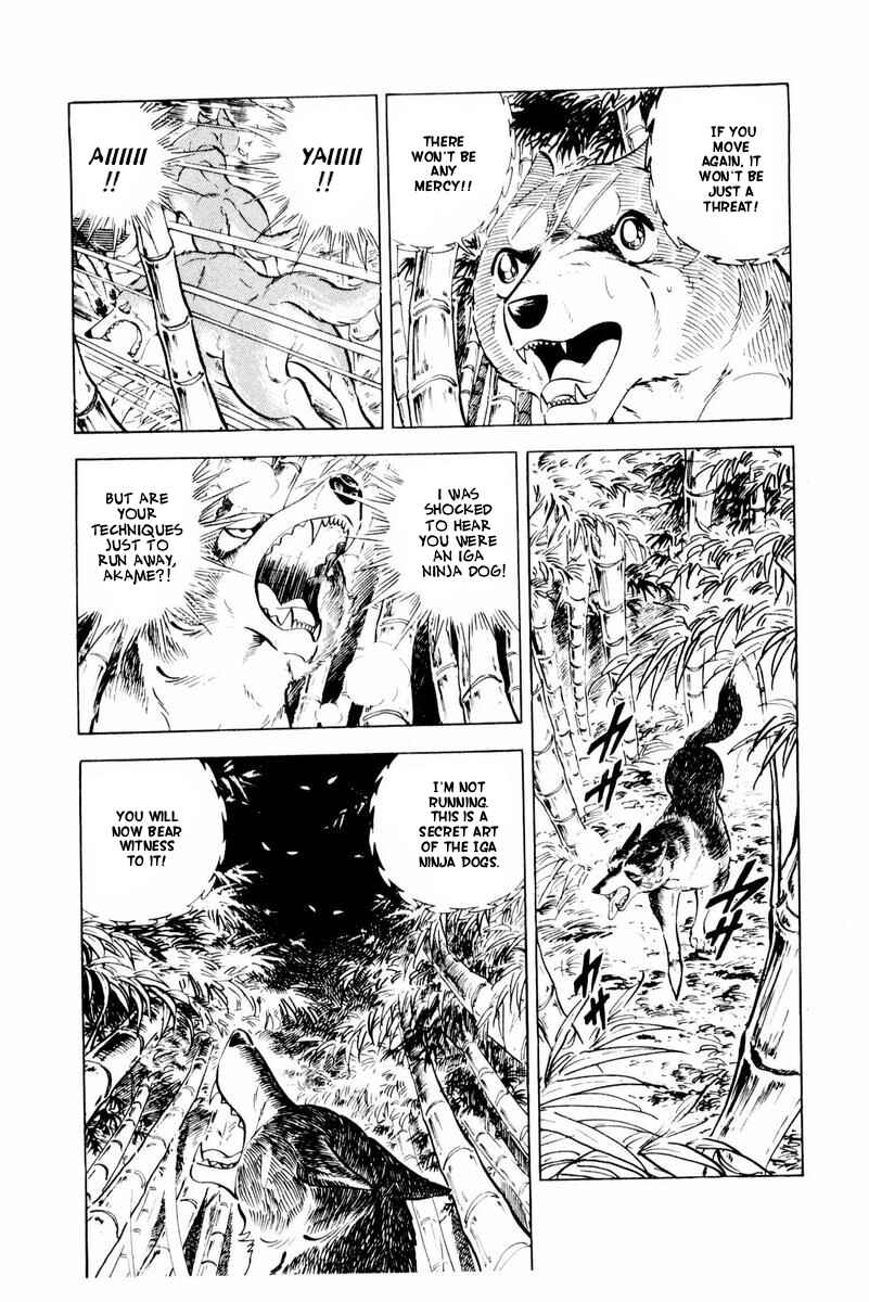 Page 29 Chapter 45 Silver Fang – The Shooting Star Gin –