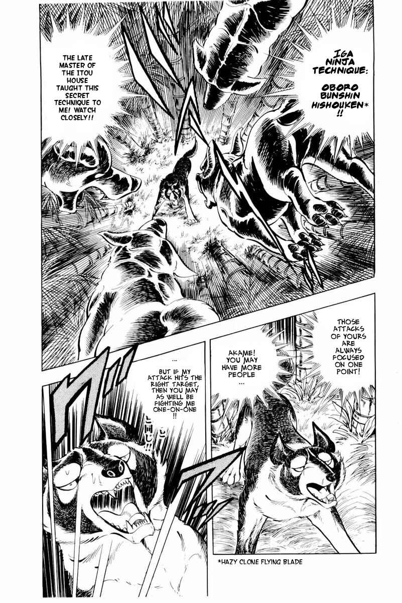Page 31 Chapter 45 Silver Fang – The Shooting Star Gin –
