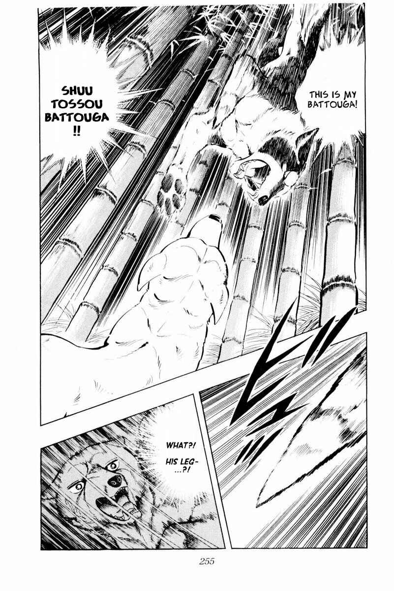 Page 9 Chapter 45 Silver Fang – The Shooting Star Gin –