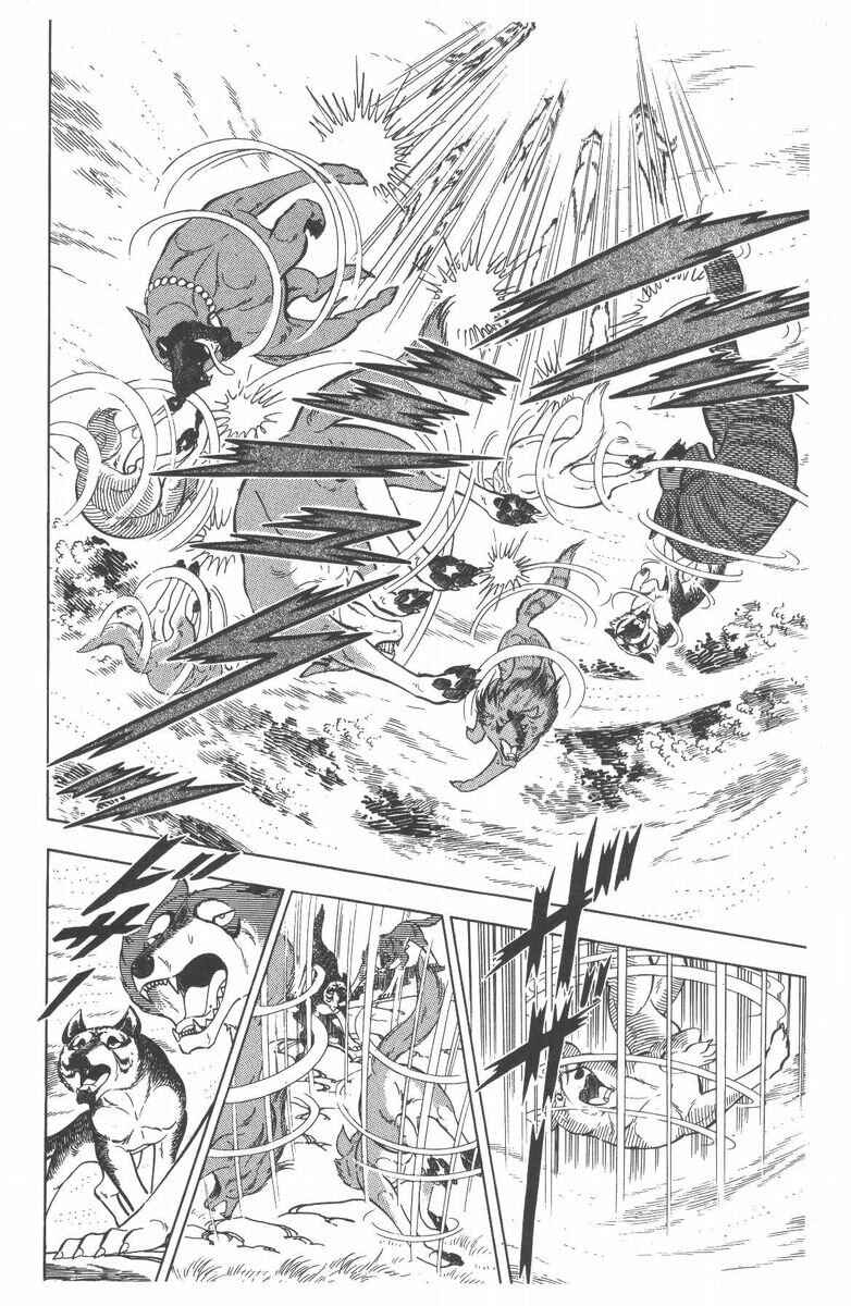 Page 21 Chapter 49 Silver Fang – The Shooting Star Gin –
