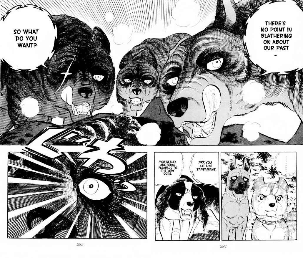 Page 16 Chapter 13 Silver Fang – The Shooting Star Gin –