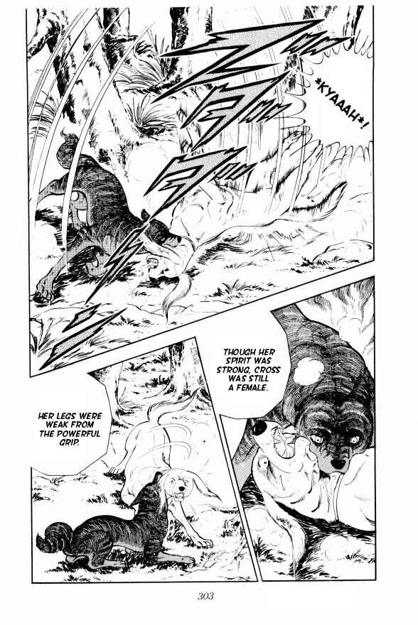 Page 34 Chapter 13 Silver Fang – The Shooting Star Gin –