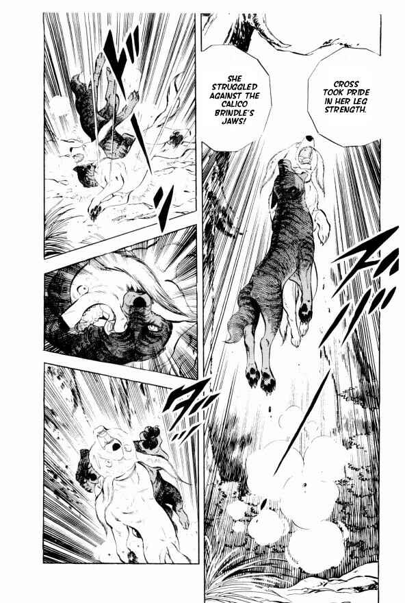 Page 35 Chapter 13 Silver Fang – The Shooting Star Gin –