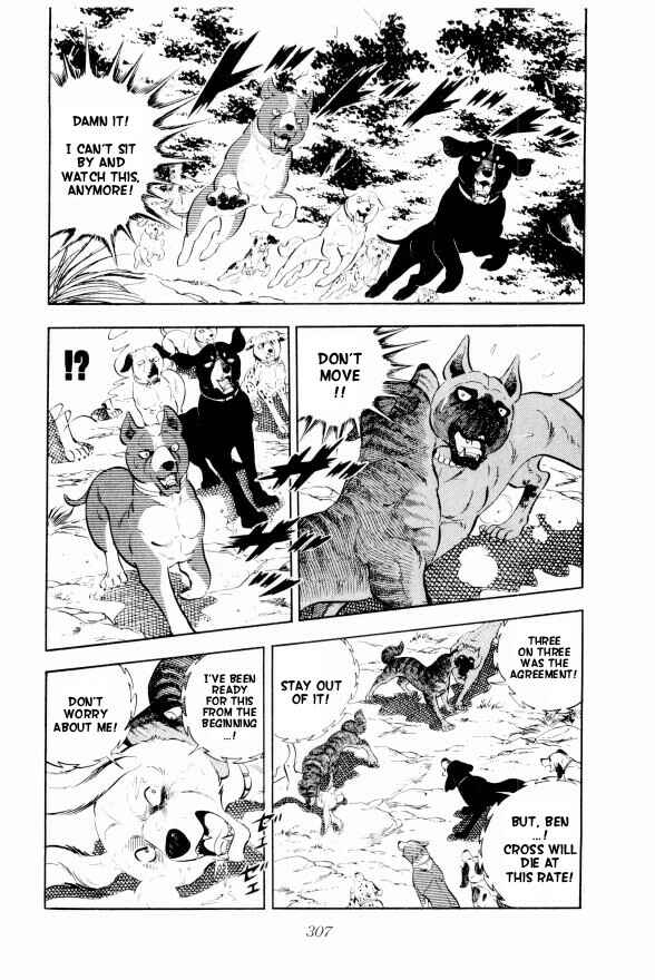Page 38 Chapter 13 Silver Fang – The Shooting Star Gin –