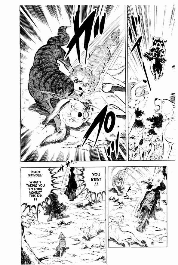 Page 39 Chapter 13 Silver Fang – The Shooting Star Gin –