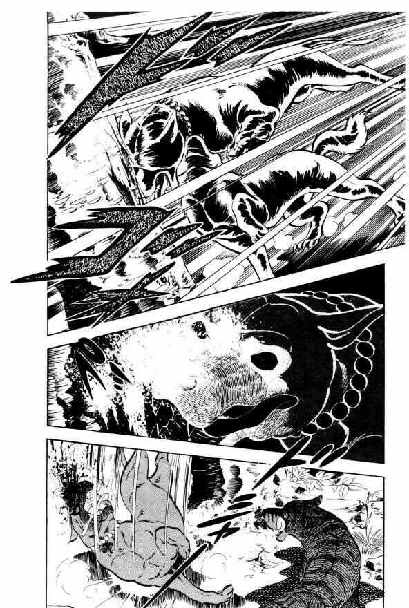 Page 43 Chapter 13 Silver Fang – The Shooting Star Gin –