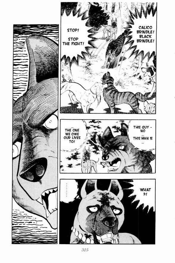 Page 46 Chapter 13 Silver Fang – The Shooting Star Gin –