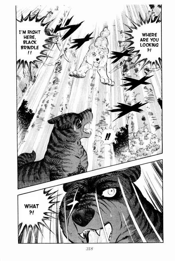 Page 49 Chapter 13 Silver Fang – The Shooting Star Gin –