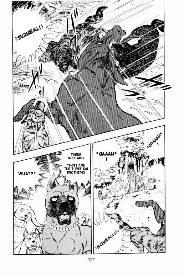 Page 9 Chapter 13 Silver Fang – The Shooting Star Gin –