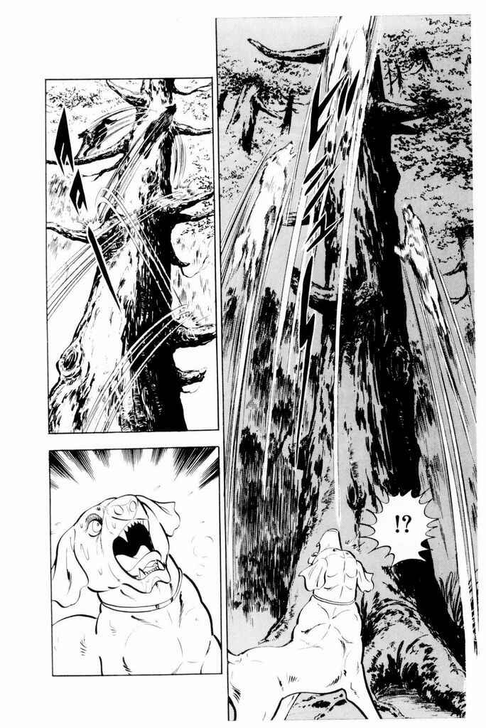 Page 7 Chapter 18 Silver Fang – The Shooting Star Gin –