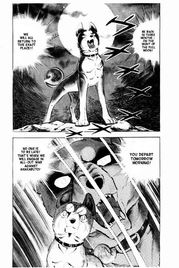 Page 16 Chapter 11 Silver Fang – The Shooting Star Gin –