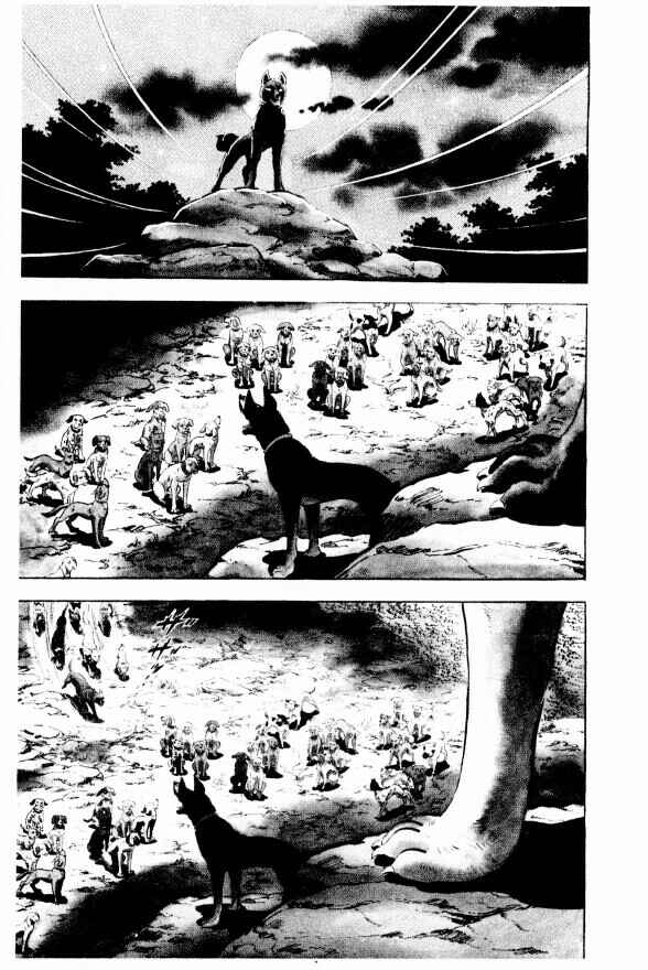 Page 5 Chapter 11 Silver Fang – The Shooting Star Gin –