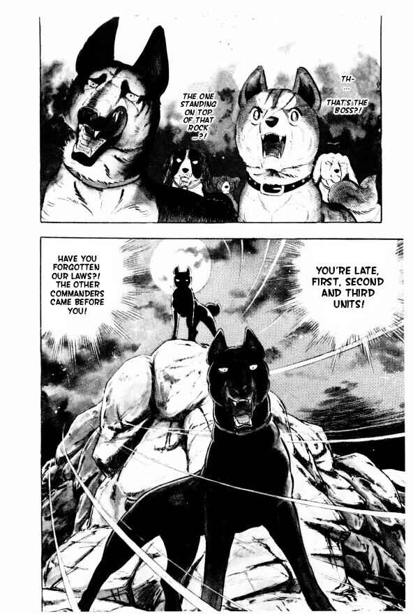 Page 6 Chapter 11 Silver Fang – The Shooting Star Gin –