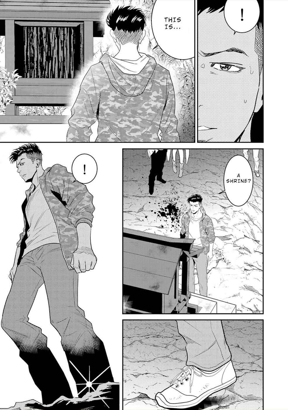 Page 22 Chapter 4 Diestrammena
