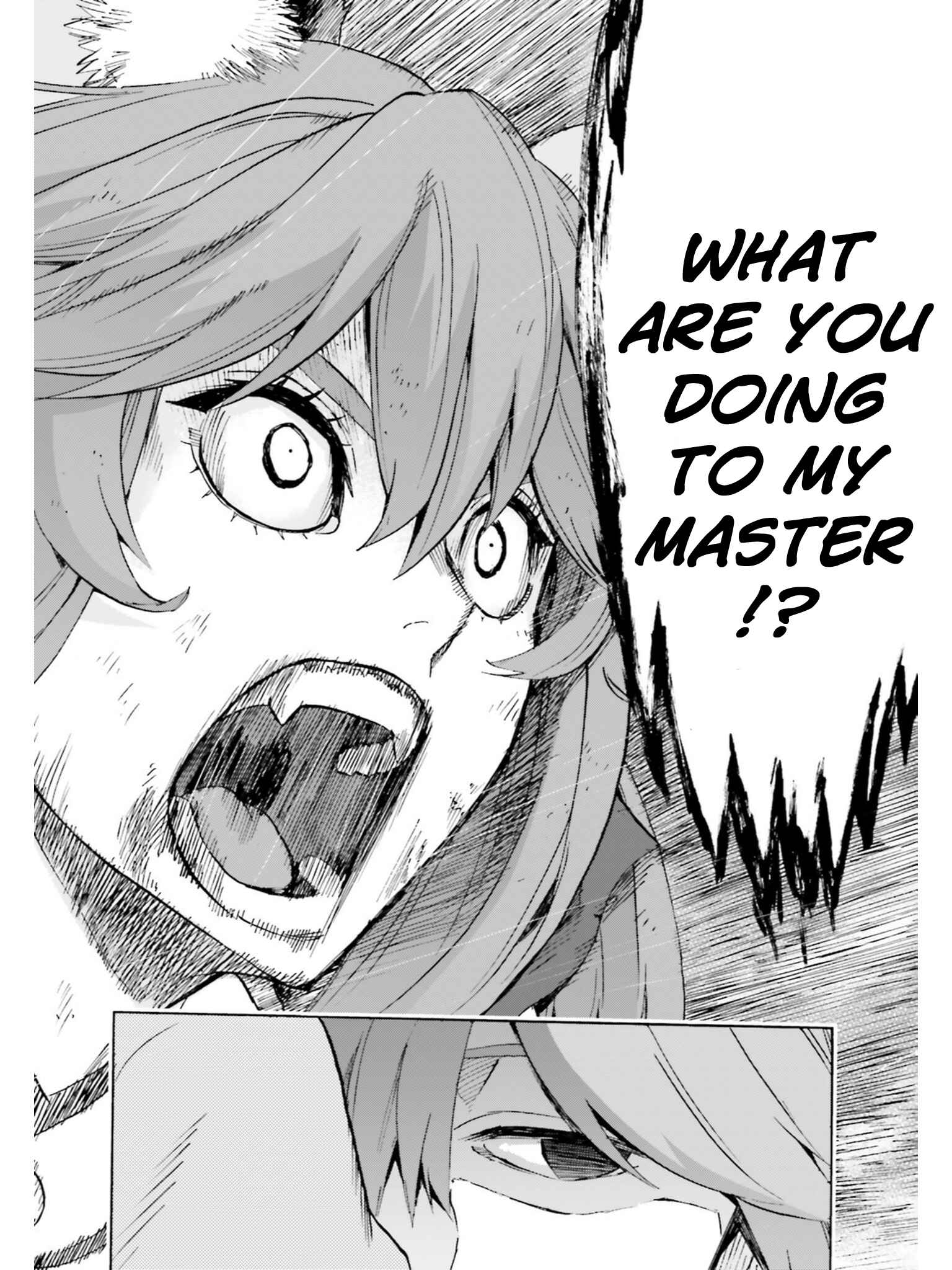 Page 17 Chapter 38 Fate/EXTRA CCC FoxTail