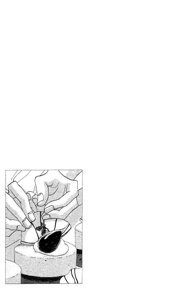 Page 36 Chapter 17 Seiyou Kottou Yougashiten