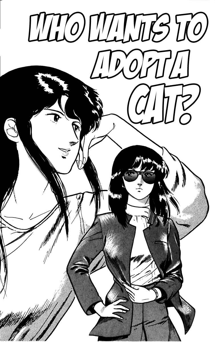 Page 33 Chapter 5 Cats Eye