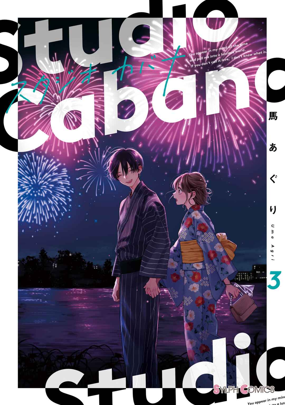 Page 3 Chapter 9 Studio Cabana