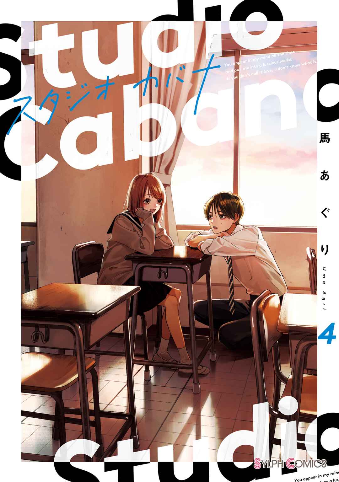 Page 3 Chapter 14 Studio Cabana