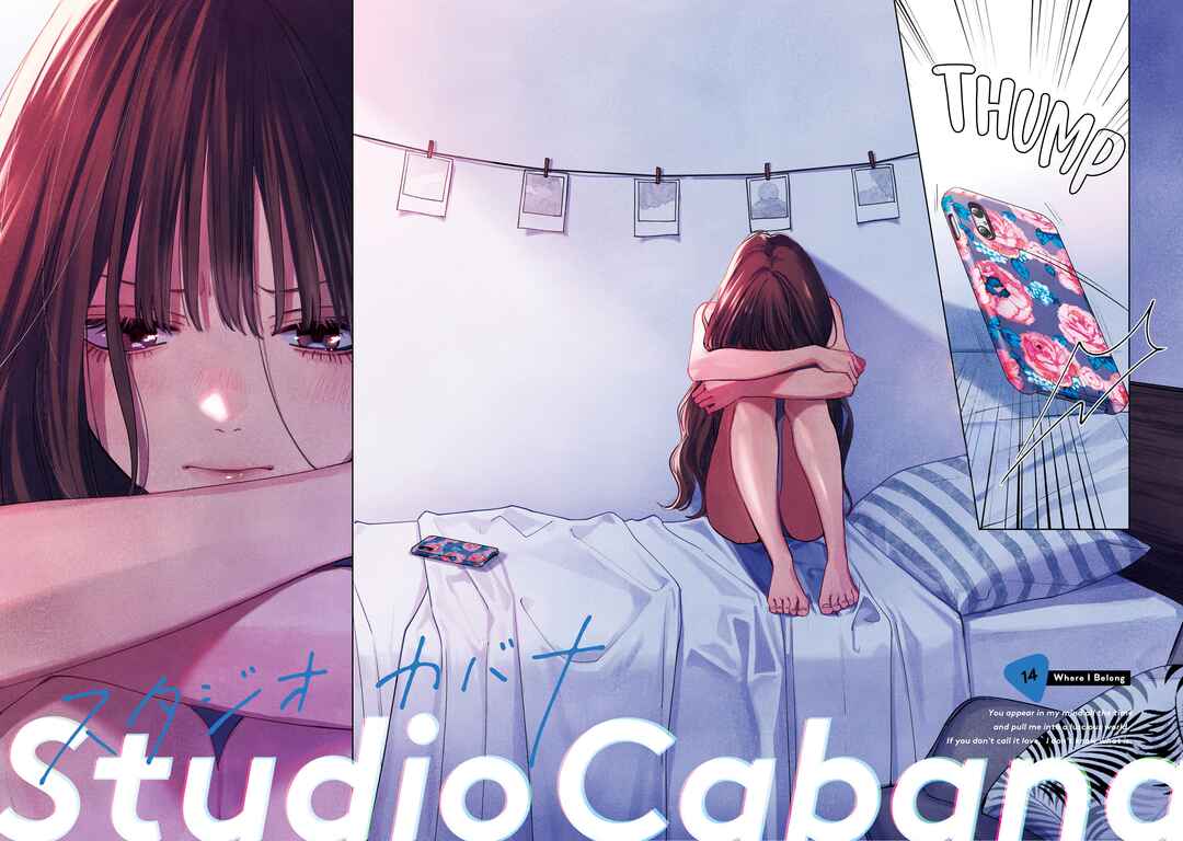 Page 5 Chapter 14 Studio Cabana