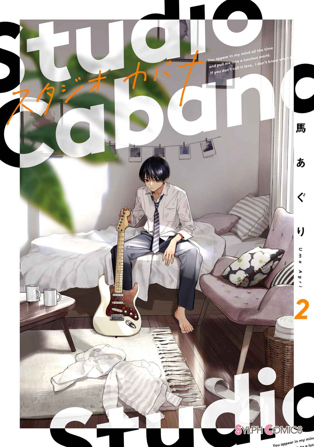 Page 3 Chapter 5 Studio Cabana