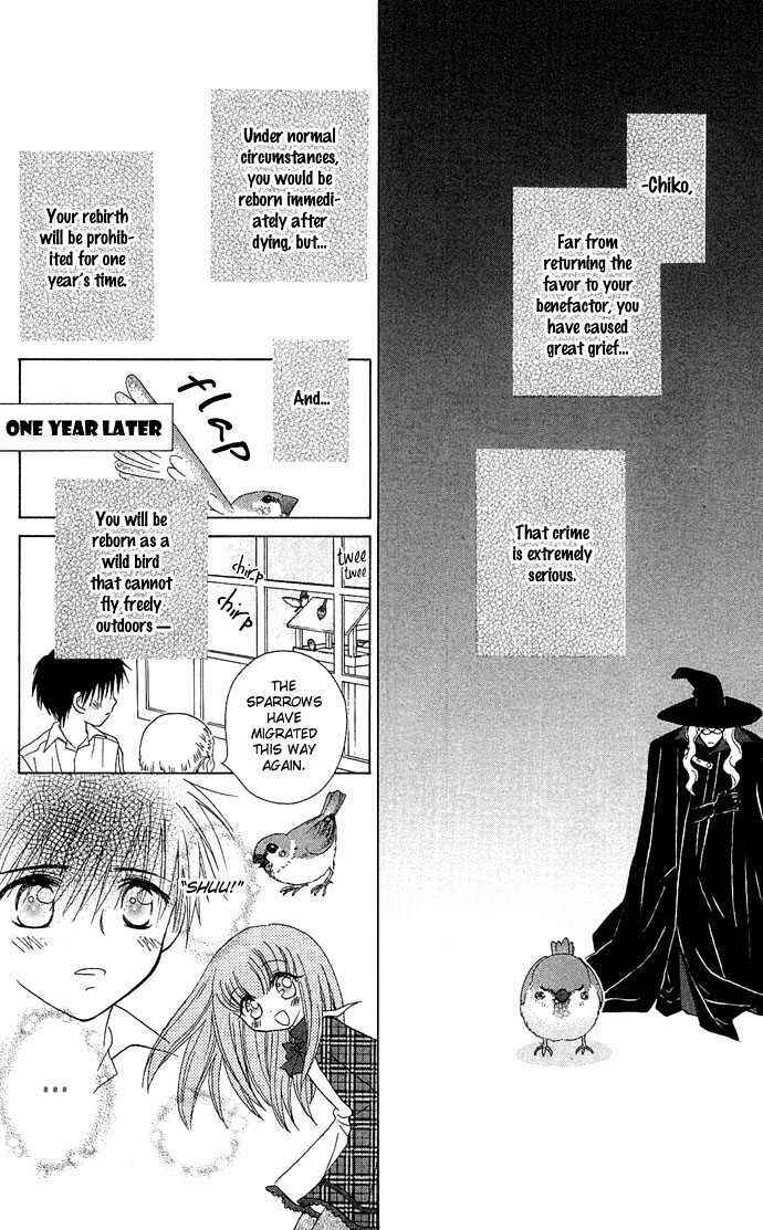 Page 32 Chapter 1 Chikos Wish