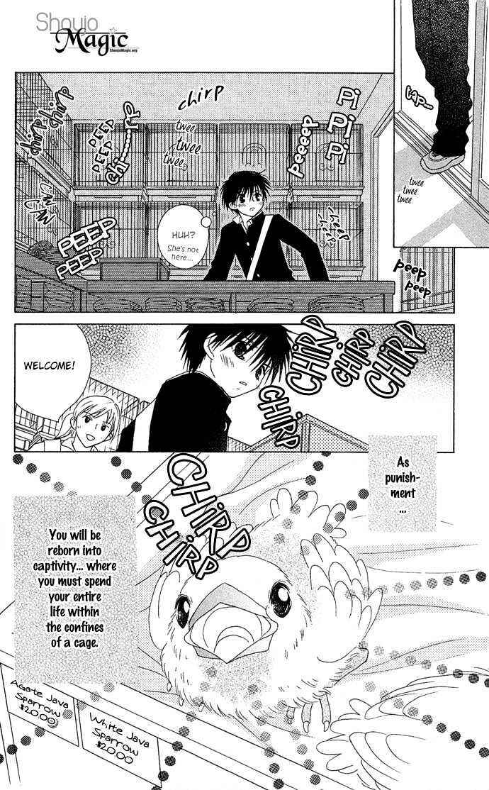 Page 34 Chapter 1 Chikos Wish