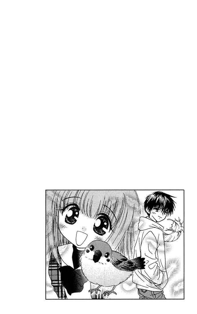 Page 36 Chapter 1 Chikos Wish