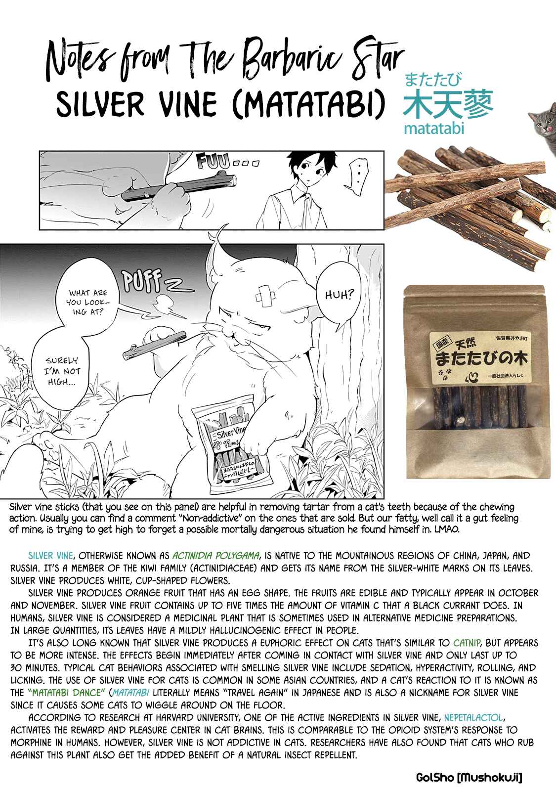 Page 29 Chapter 11 Tsukiiro no Invader