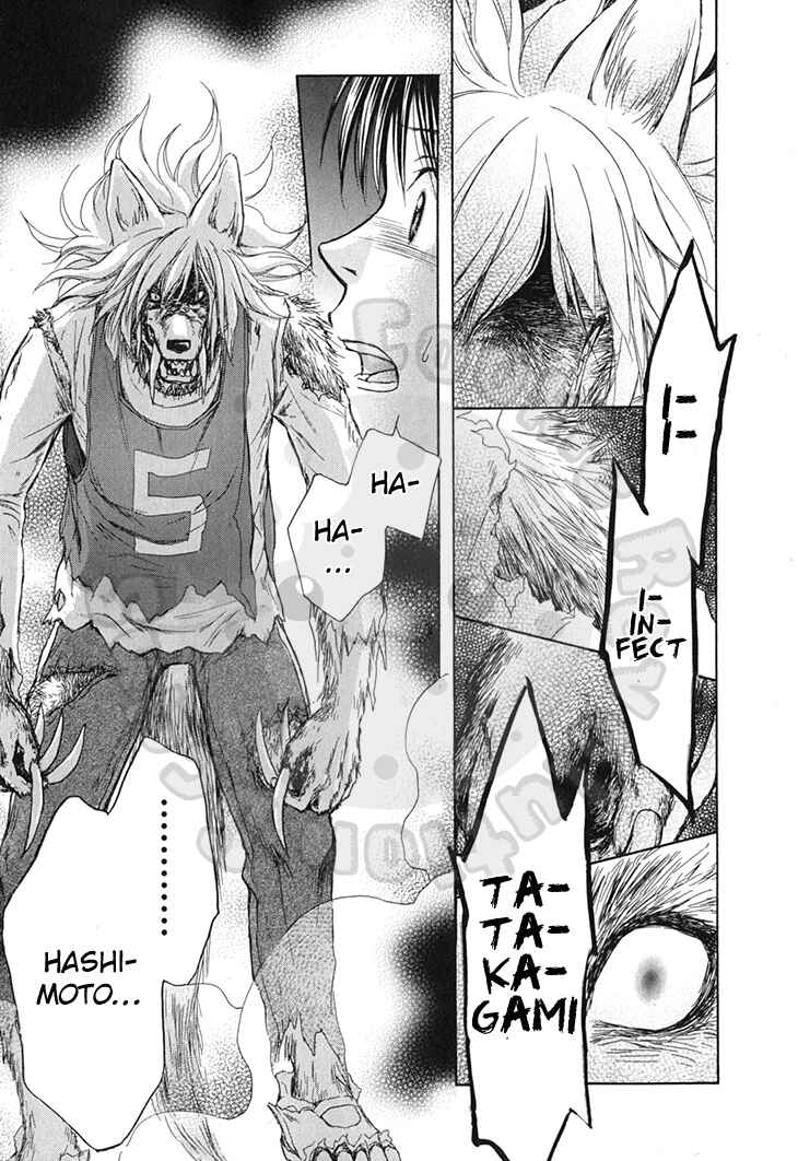 Page 11 Chapter 60 Wagaya no Oinarisama.