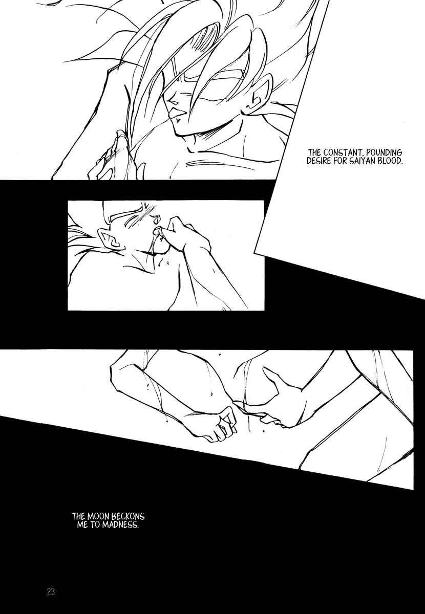 Page 23 Chapter Unknown_ccc2 Dragon Ball - Amnesia (Doujinshi)