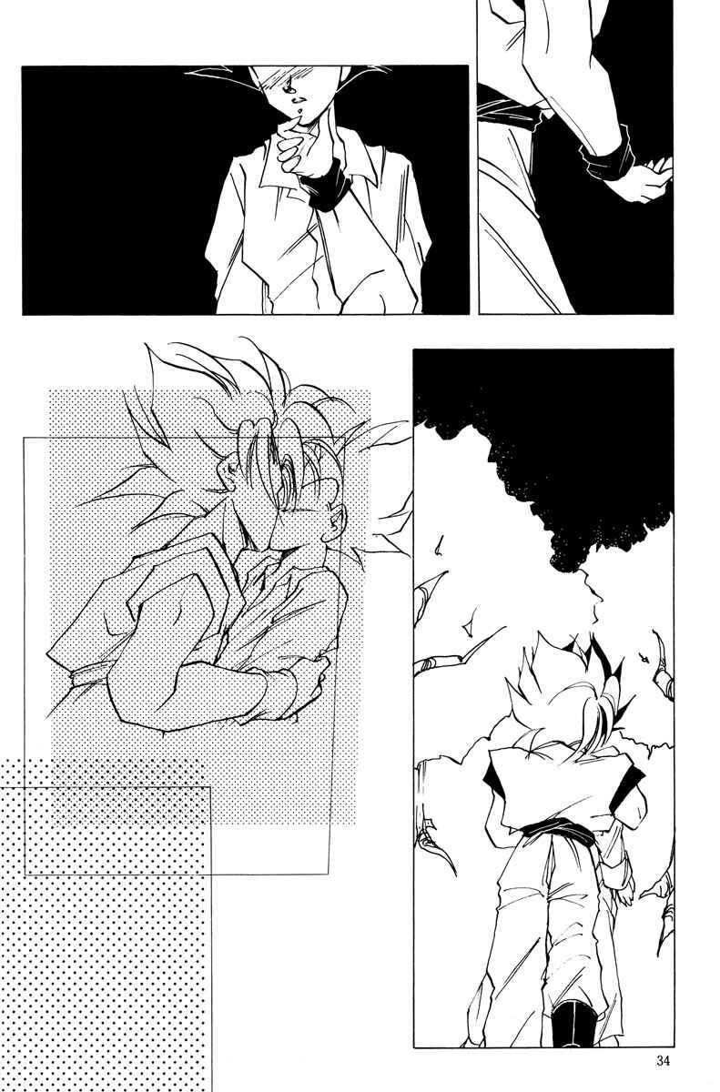 Page 34 Chapter Unknown_ccc2 Dragon Ball - Amnesia (Doujinshi)