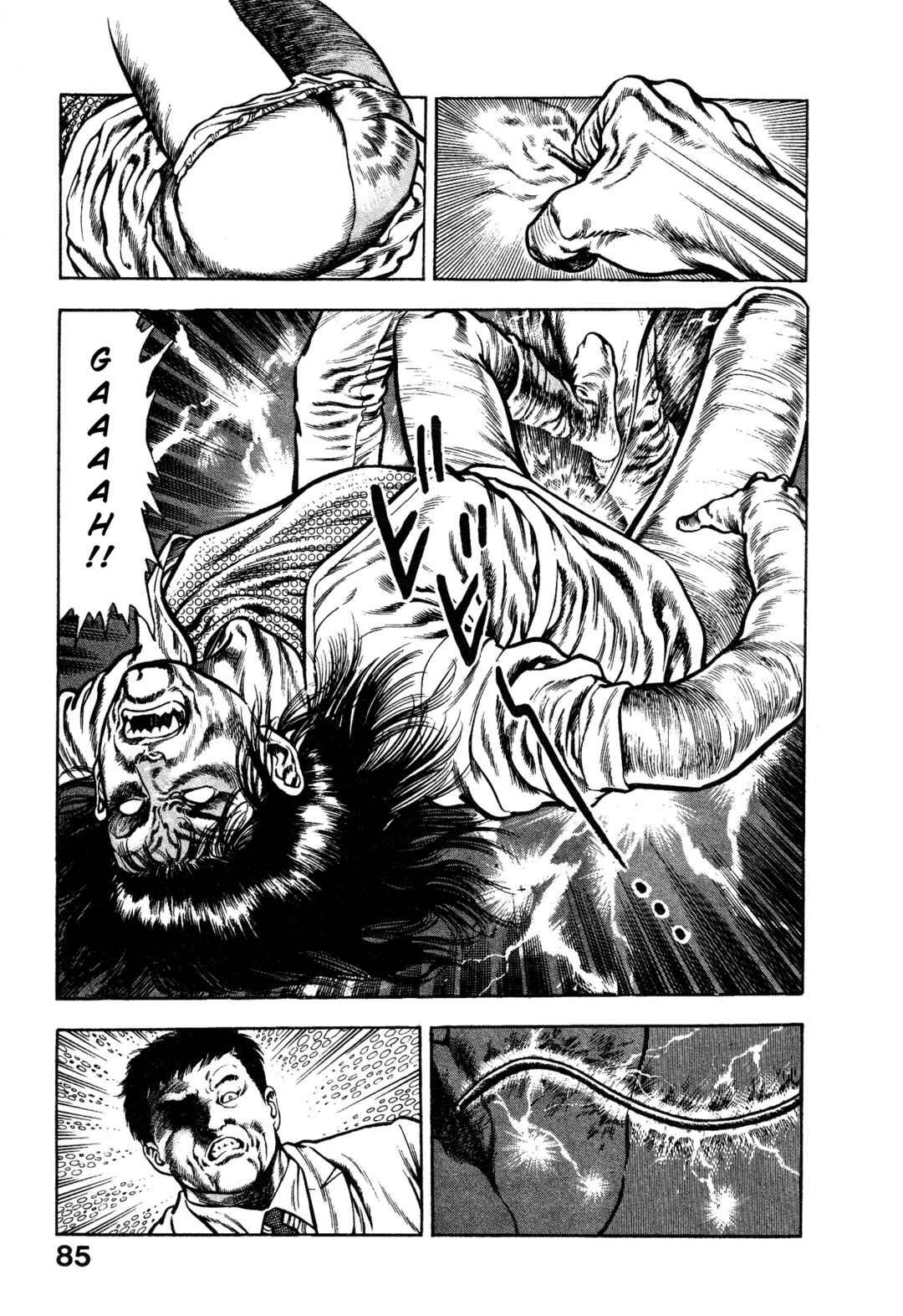 Page 33 Chapter 2 Habu Goes Forth