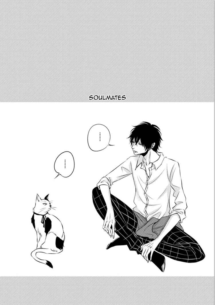 Page 17 Chapter 5.5 Hana to Junketsu