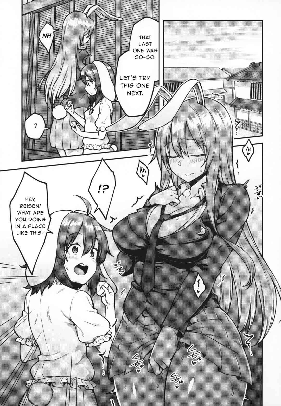Page 4 Chapter Unknown_5805 Touhou - Hatsujou Usagi (Doujinshi)