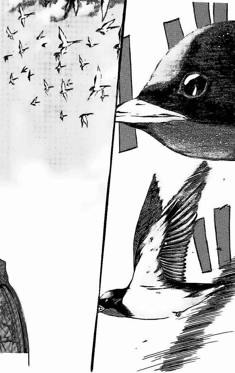 Page 2 Chapter 51 Ahiru no Sora