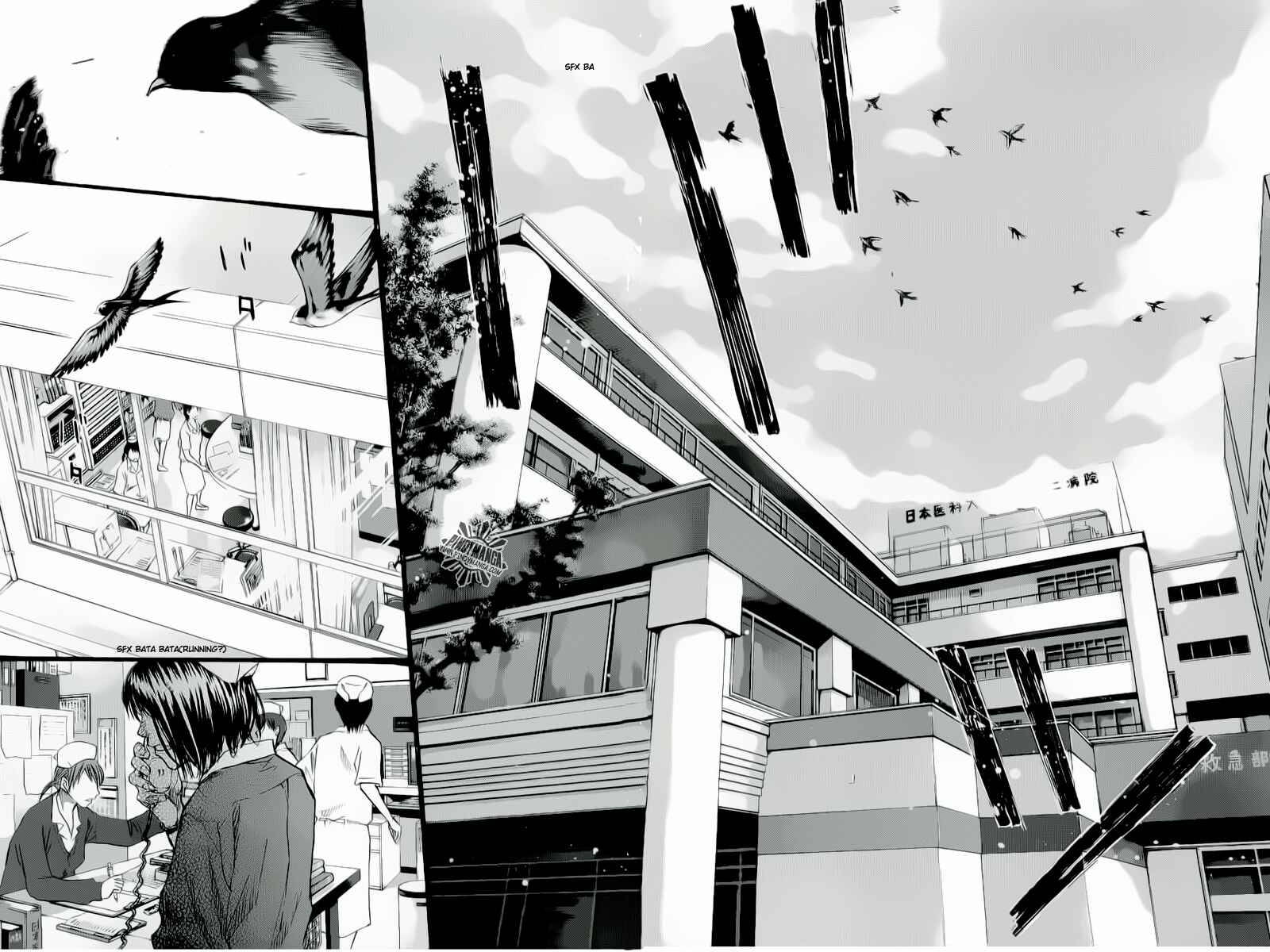 Page 43 Chapter 88 Ahiru no Sora