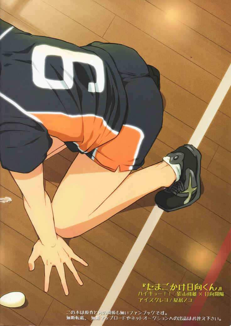 Page 29 Chapter Unknown_e41c Haikyuu!! - Tamagokake Hinatakun (Doujinshi)