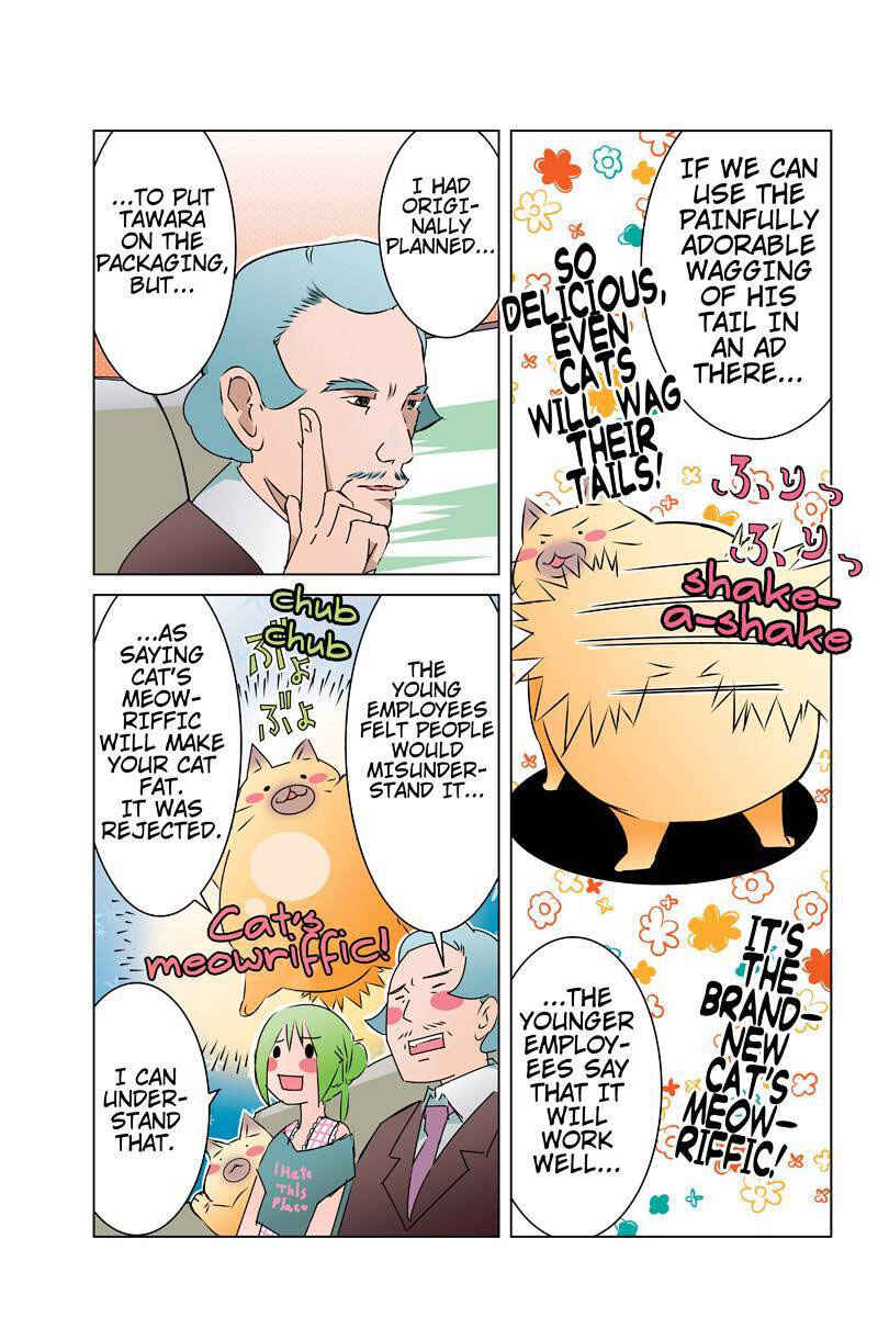 Page 11 Chapter 27 Tawara Neko to Machigai Jinsei
