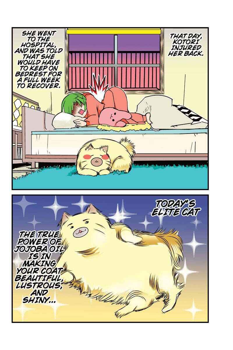 Page 16 Chapter 8 Tawara Neko to Machigai Jinsei